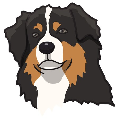 Signmission Australian Shepherd Dog Decal, Dog Lover Decor Vinyl Sticker D-12-Australian Shepherd